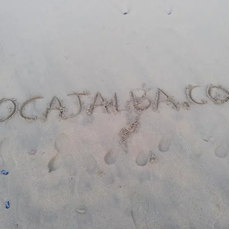 Solaes Climatizado Беникарло